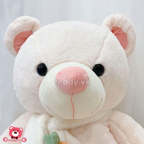 Gấu Bông Teddy Khăn Cà Rốt