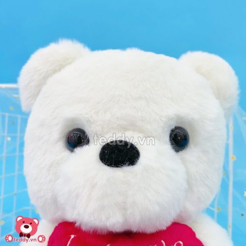 Gấu Bông Teddy Trắng Ôm Tim