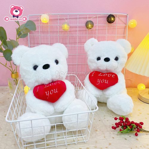 Gấu Bông Teddy Trắng Ôm Tim