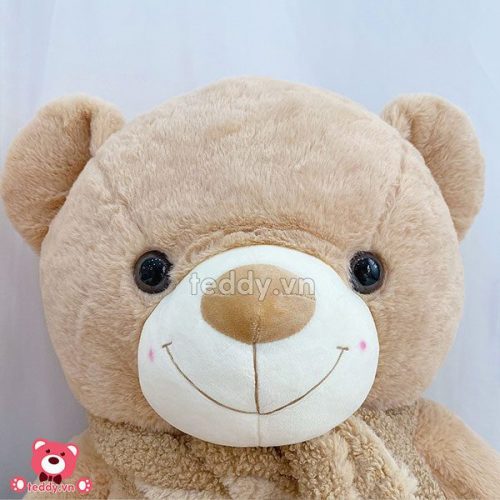 Gấu Bông Teddy Đeo Khăn Gấu