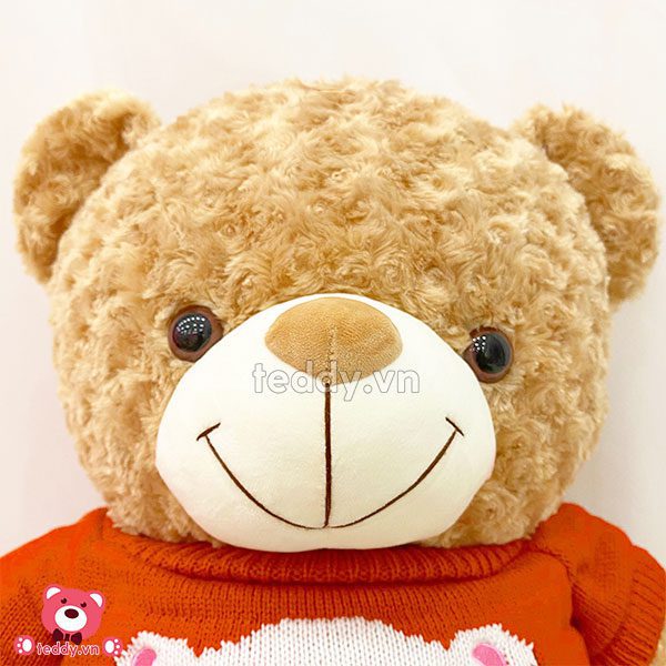 Gấu Bông Teddy Áo Len Mặt Gấu