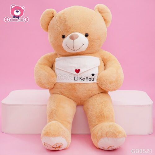 Gấu Bông Teddy Cầm Phong Thư