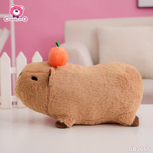 Capybara Nằm Đội Quả Cam