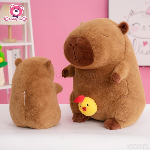 Chuột Capybara Rút Gà