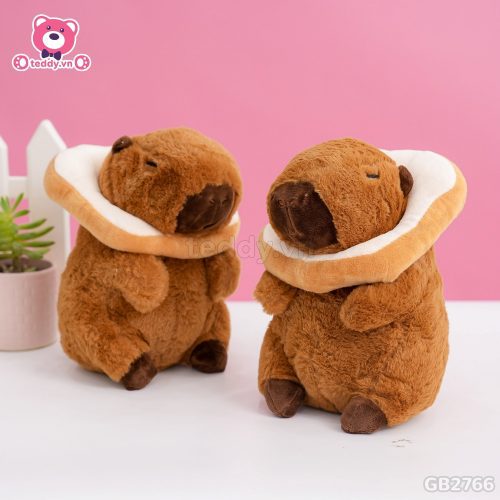 Chuột Capybara Bánh Mì đã được bán tại Teddy.vn