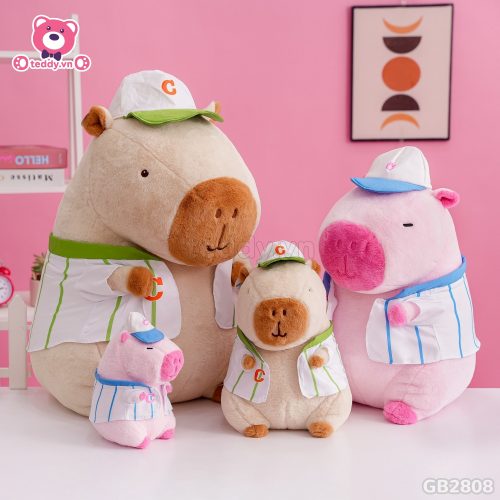 Chuột Capybara Mặc Áo đã được bán tại Teddy.vn