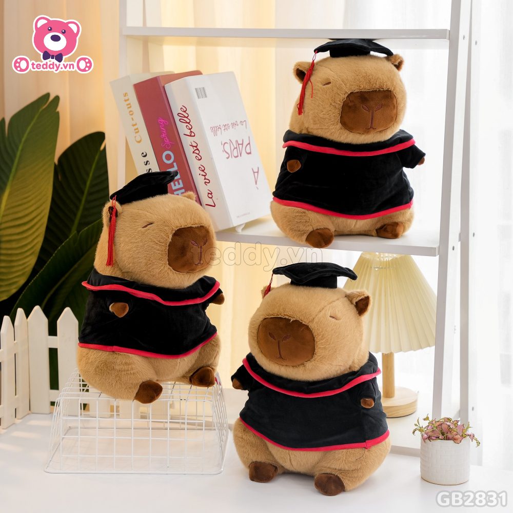 Gấu Capybara Tốt Nghiệp