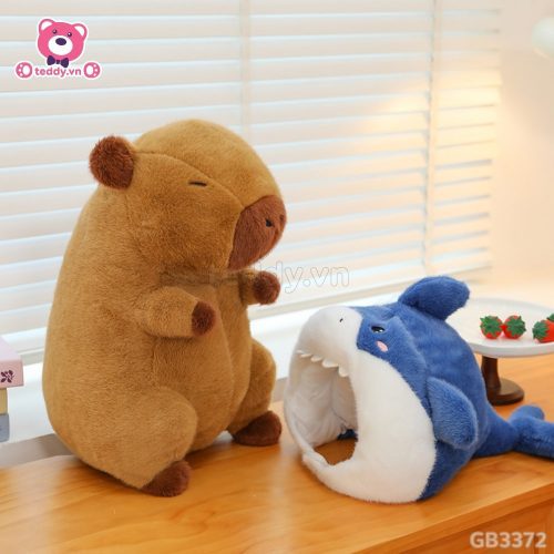 Chuột Capybara Cosplay Cá Mập