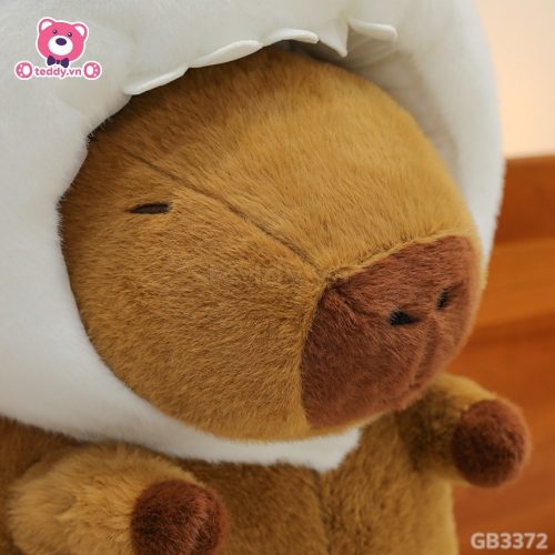 Chuột Capybara Cosplay Cá Mập