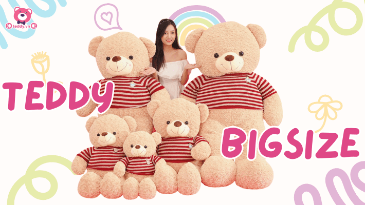 Gấu Bông Teddy Khổng Lồ: Ôm Trọn Yêu Thương, Sưởi Ấm Trái Tim