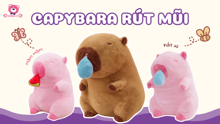 Gấu Bông Capybara Rút Mũi – Huyền Thoại Siêu Độc Đáo Của Làng Gấu Bông