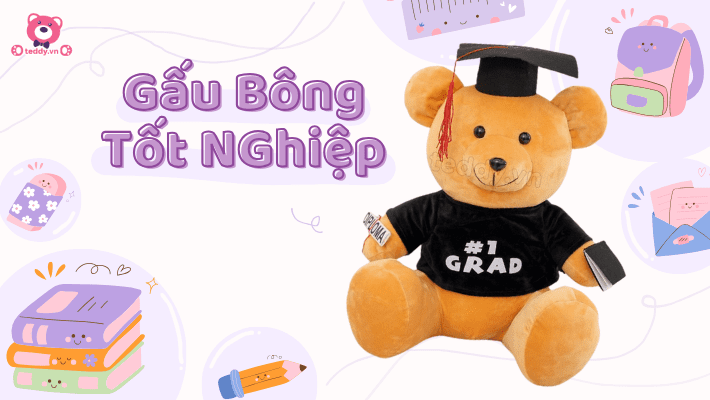 Gấu Bông Tốt Nghiệp – Quà Tặng Siêu Cute, Kỷ Niệm Vĩnh Viễn