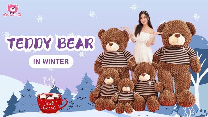 Chạm Vào Trái Tim Mùa Đông Với Bộ Sưu Tập Gấu Bông Teddy Đáng Yêu