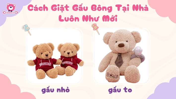 Cách Giặt Gấu Bông Tại Nhà Luôn Như Mới