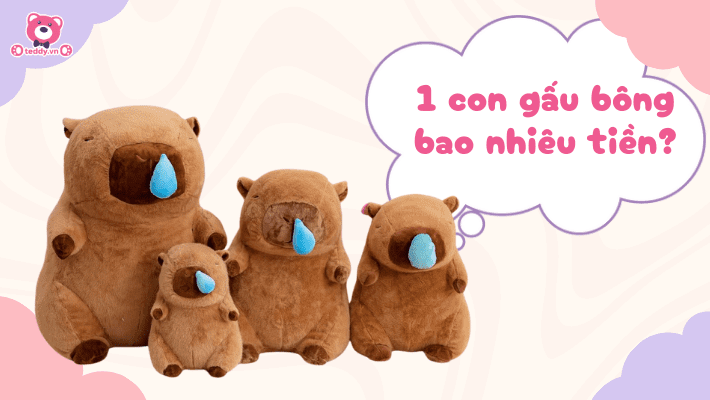 1 Con Gấu Bông Bao Nhiêu Tiền? Hướng Dẫn Mua Gấu Bông Phù Hợp Với Mọi Ngân Sách