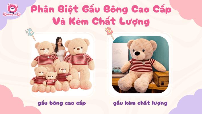 Phân Biệt Gấu Bông Cao Cấp Và Kém Chất Lượng