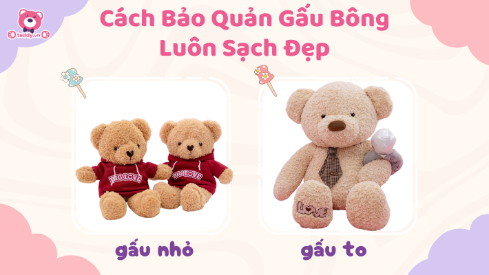 Bí Quyết Giữ Gấu Bông Luôn Sạch Đẹp Như Mới