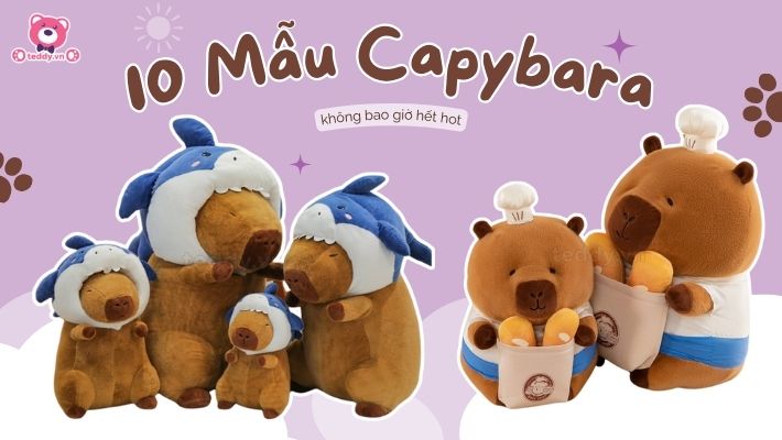 Top 10 Gấu Bông Capybara Không Bao Giờ Hết Hot