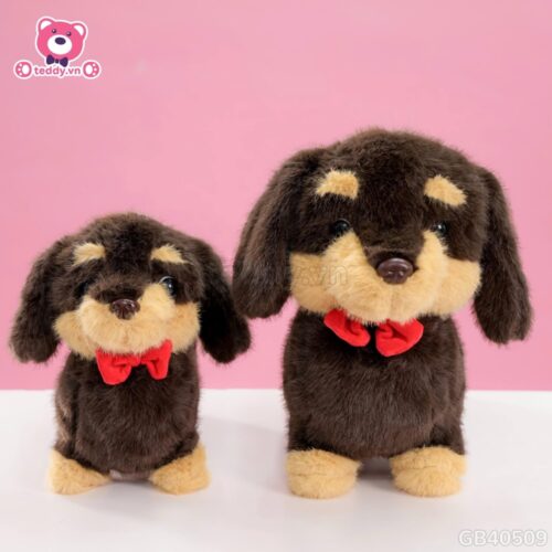 Chó Bông Dachshund Lạp Xưởng