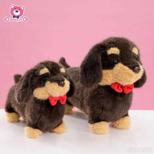 Chó Bông Dachshund Lạp Xưởng