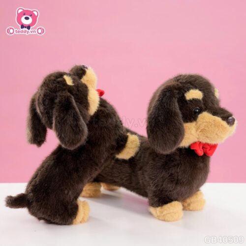 Chó Bông Dachshund Lạp Xưởng