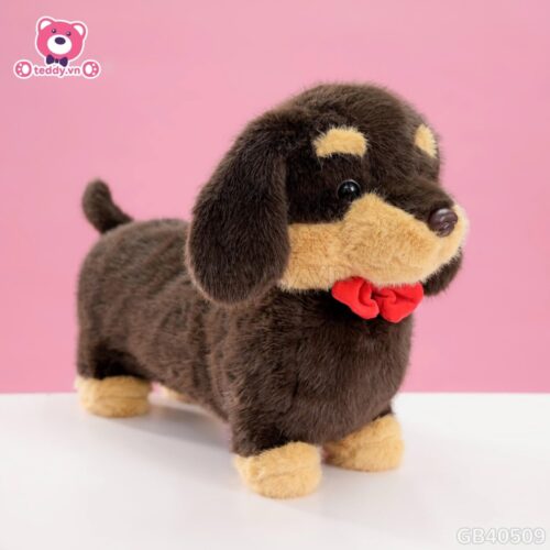 Chó Bông Dachshund Lạp Xưởng