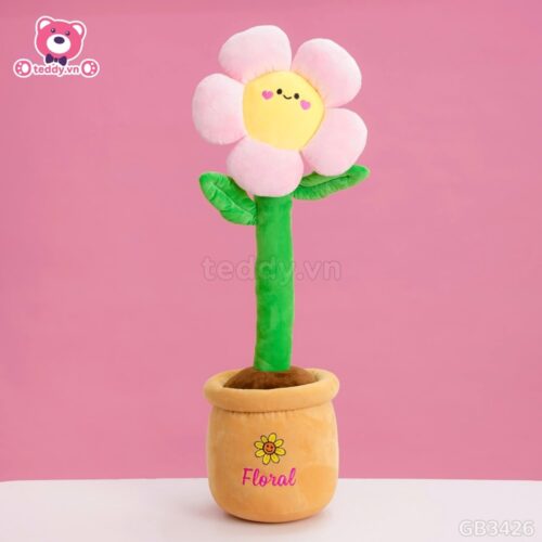 Chậu Hoa Mặt Cười Bông
