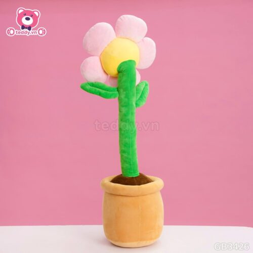 Chậu Hoa Mặt Cười Bông