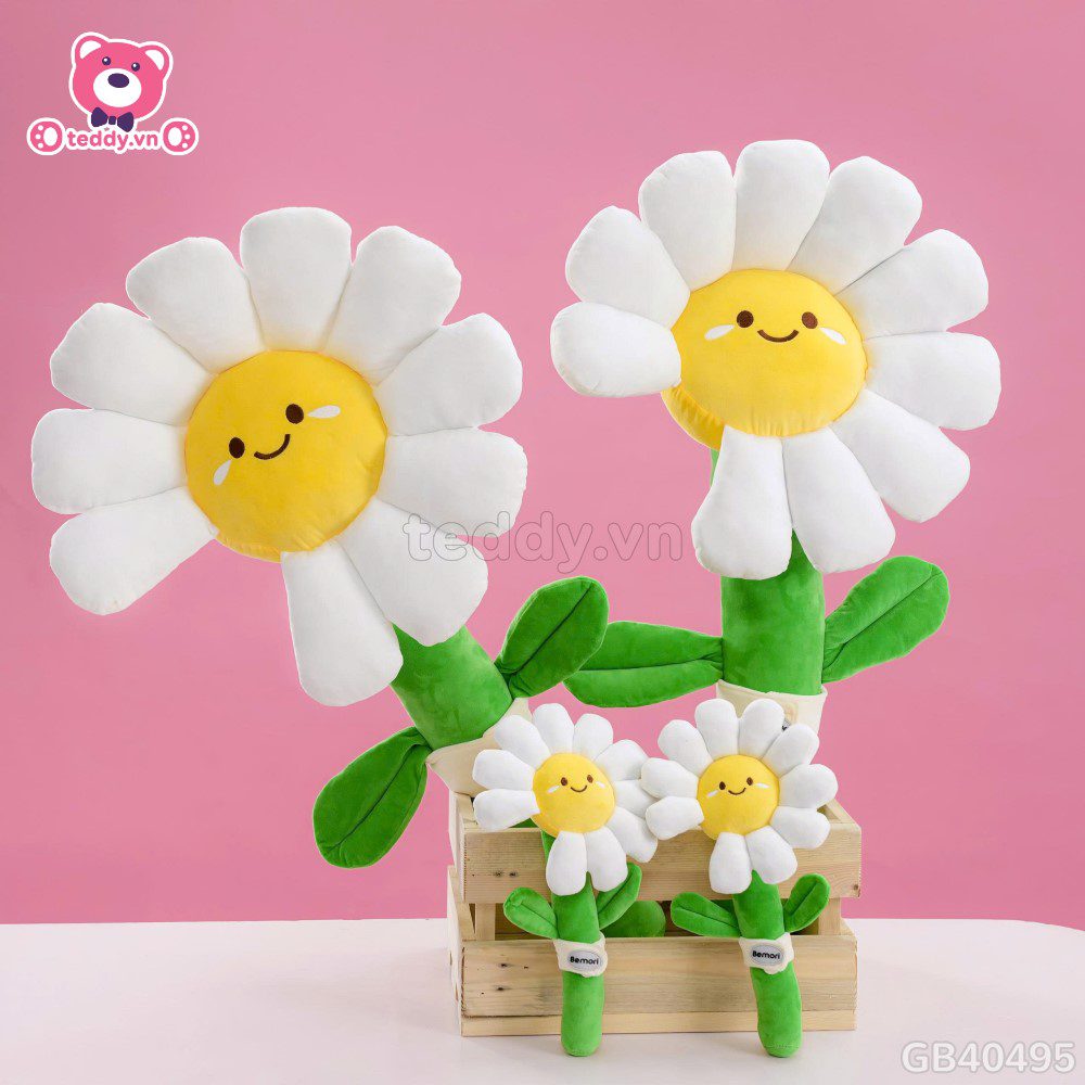 Bó Hoa Daisy Bông