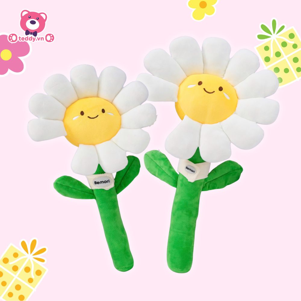 Bó Hoa Daisy Bông