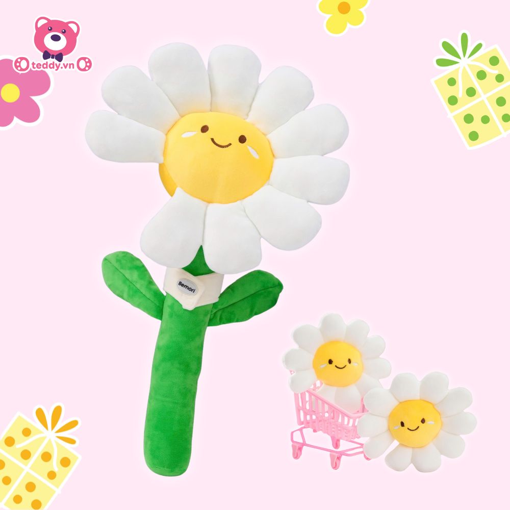 Bó Hoa Daisy Bông giúp bạn nổi bật giữa đám đông