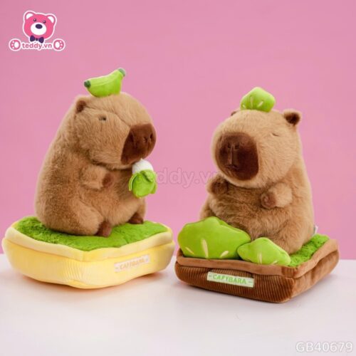 Chậu Cây Capybara Bông