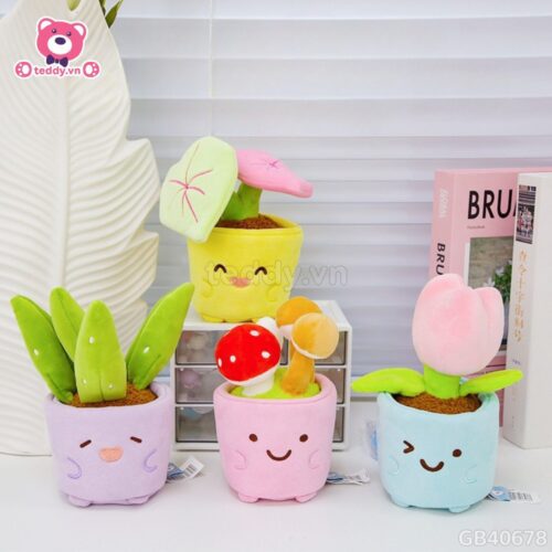 Chậu Hoa Bông Vui Vẻ